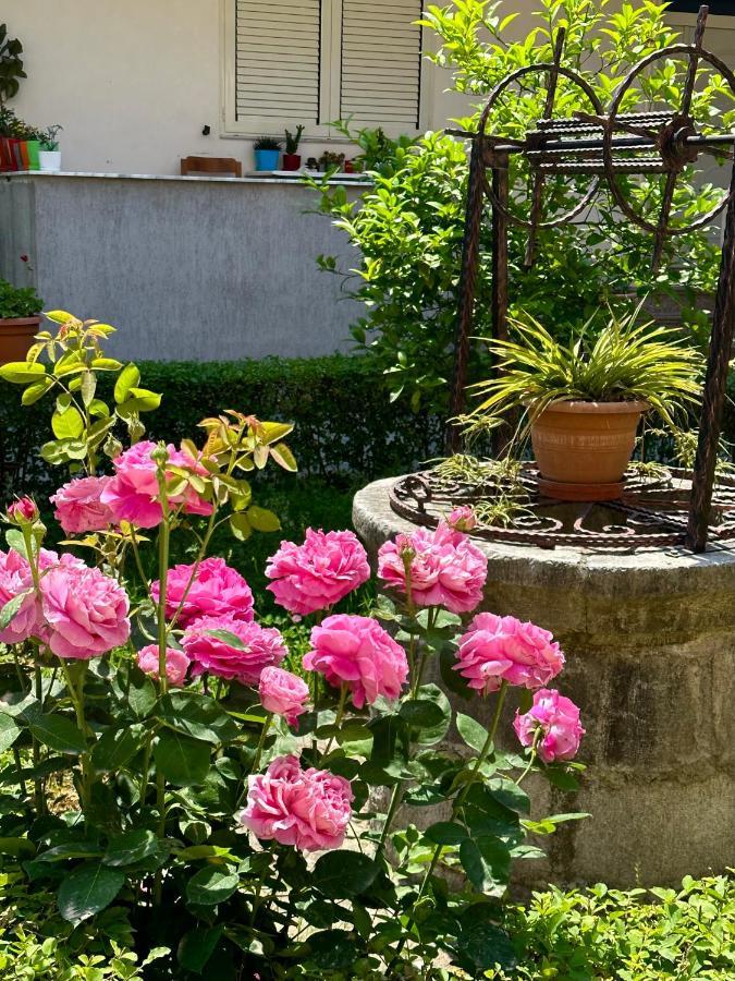 דירות Js House Shkoder 1 מראה חיצוני תמונה